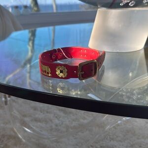 Alpen Schatz leather dog collar